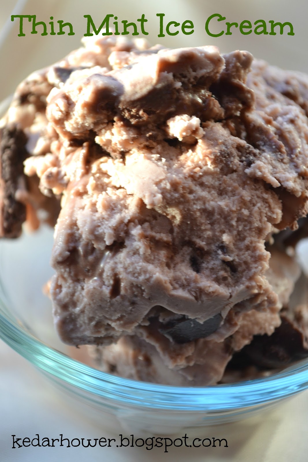 Stuff, Things, etc. Thin Mint Ice Cream