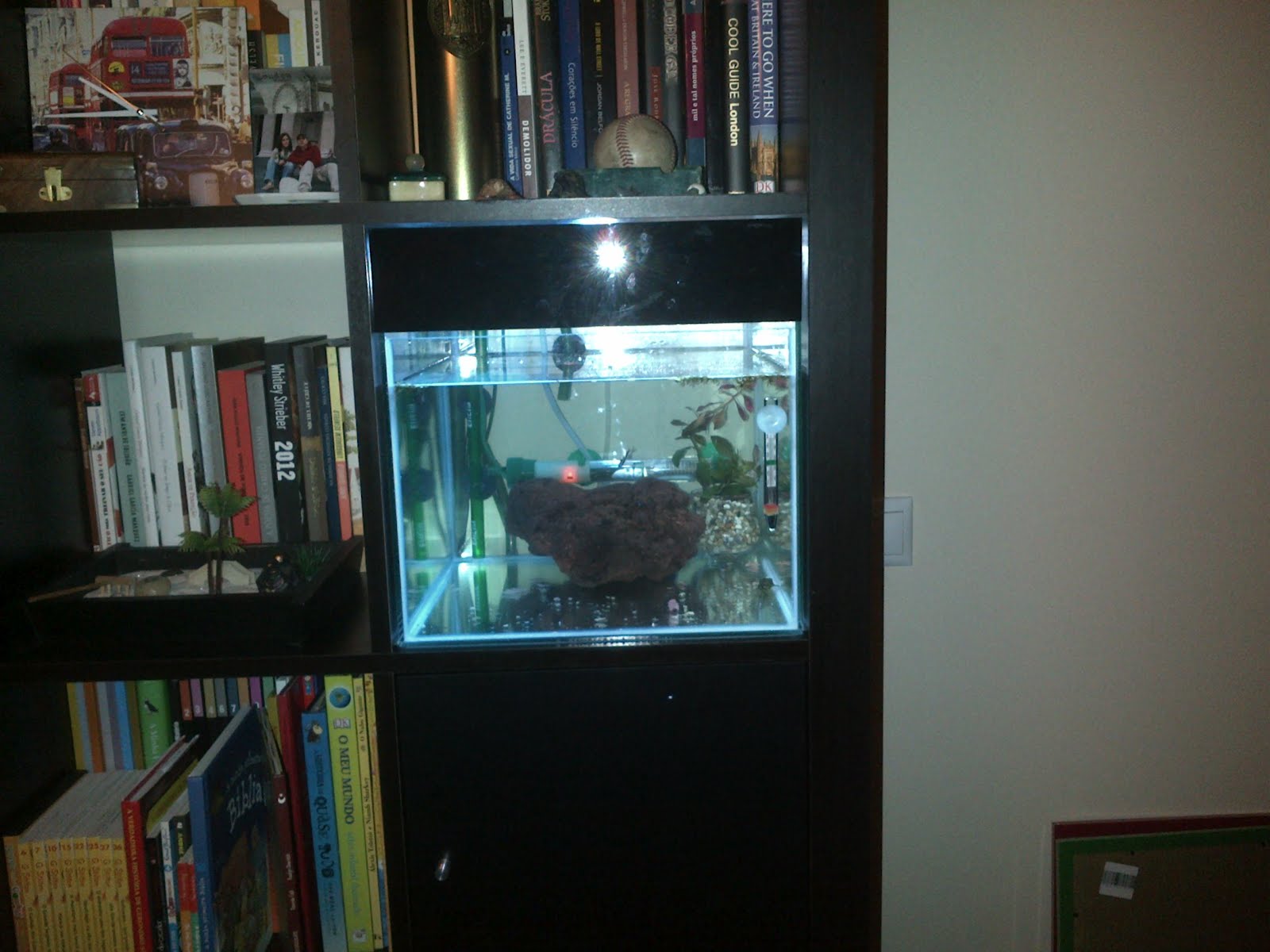 Ikea Grundtal Countertop Lighting ~ There’s something fishy about this Expedit ~ Get Home Decorating Ikea Grundtal Countertop Lighting ~ There’s something fishy about this Expedit ~ Get Home Decorating