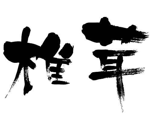 Brushed japanese as shiitake mushroom