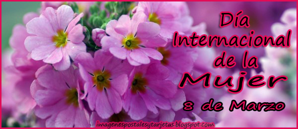 Tarjetas del día de la mujer Imágenes y fotos