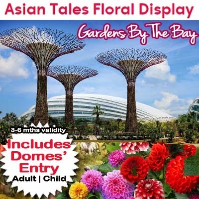 Gardens by the Bay Admission Ticket