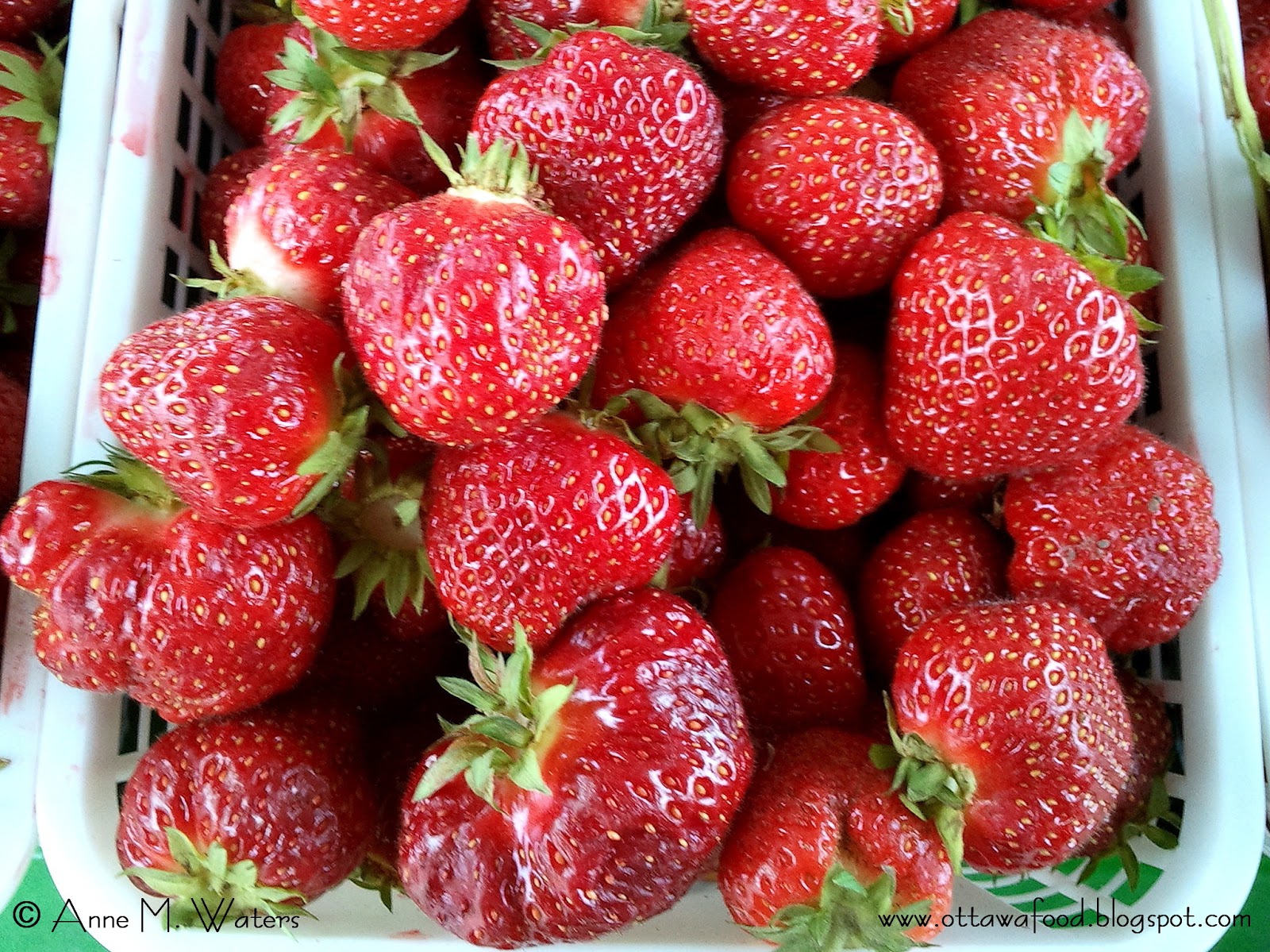 If Music be the Food of Love, Play On: Ottawa Has Strawberries!