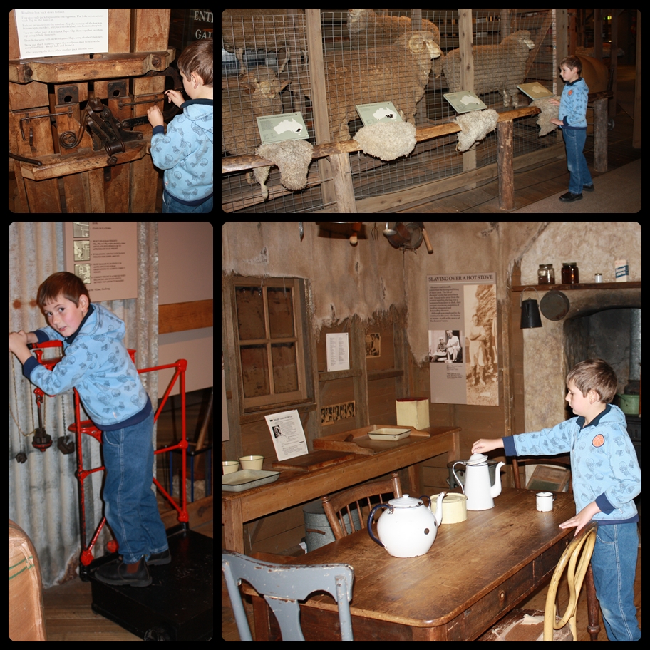 Every Bed of Roses Geelong Wool Museum