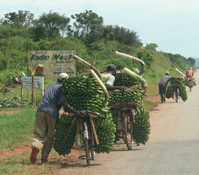 bicycleAfrica%2B%2Bbanana%2Bbike.jpg