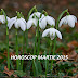 Horoscop martie 2015 - Toate zodiile