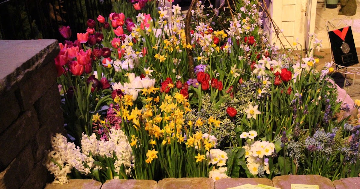 gardening in western washington: Northwest Garden Show...