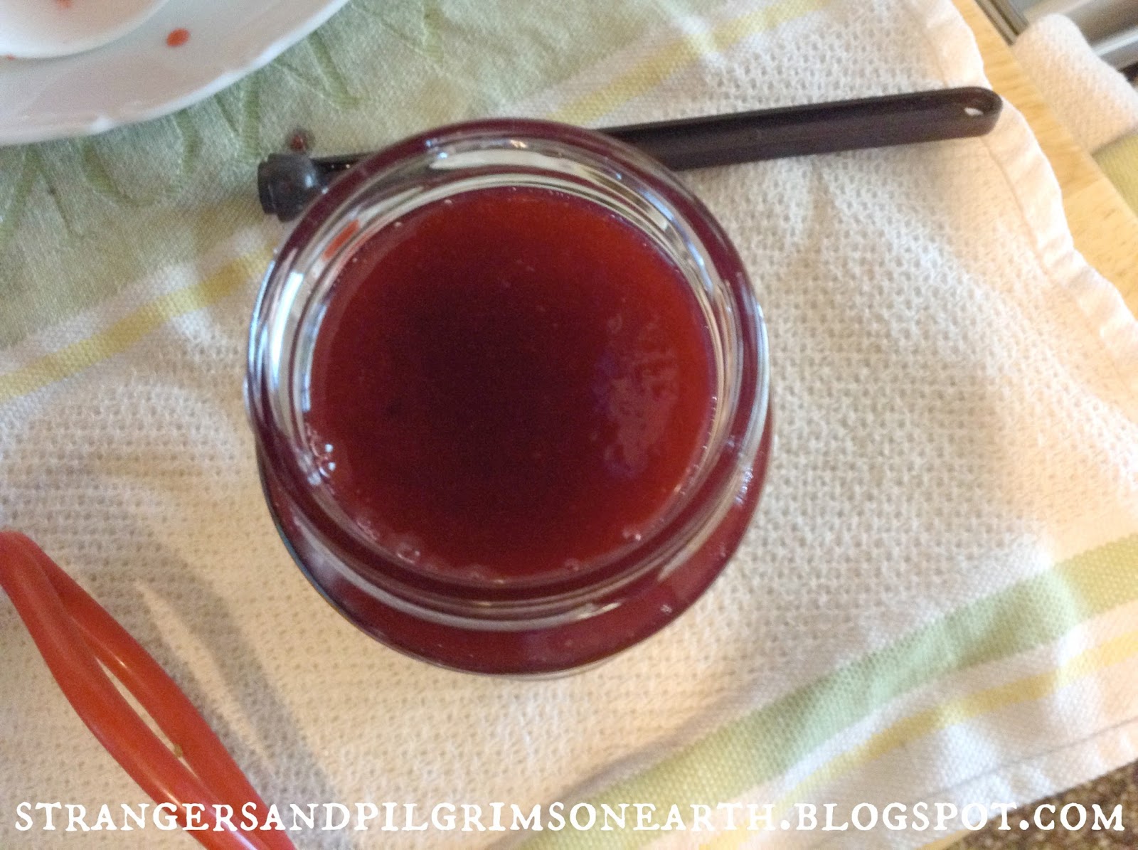 Strangers & Pilgrims on Earth How to Can Plum Sauce and Plum Jam {DIY