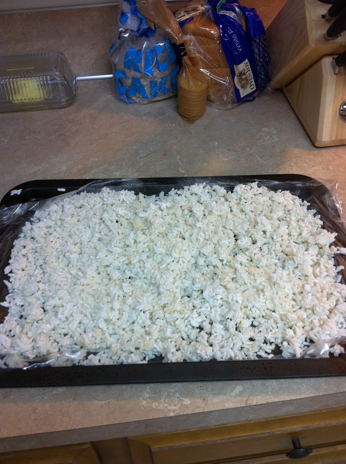 New Mom Starting From Scratch Dont buy bags of frozen rice, freeze it