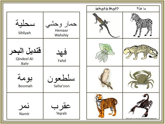 A Muslim Child is Born: Animals: Arabic Vocabulary Activities