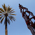 Fotografiando Castells, los castillos humanos