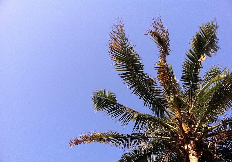 Southern Living Preppy Style Yoga and Apple Pies