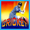 Play Indian Cricket Game