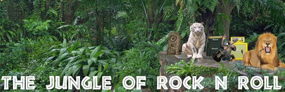The Jungle of Rock N Roll