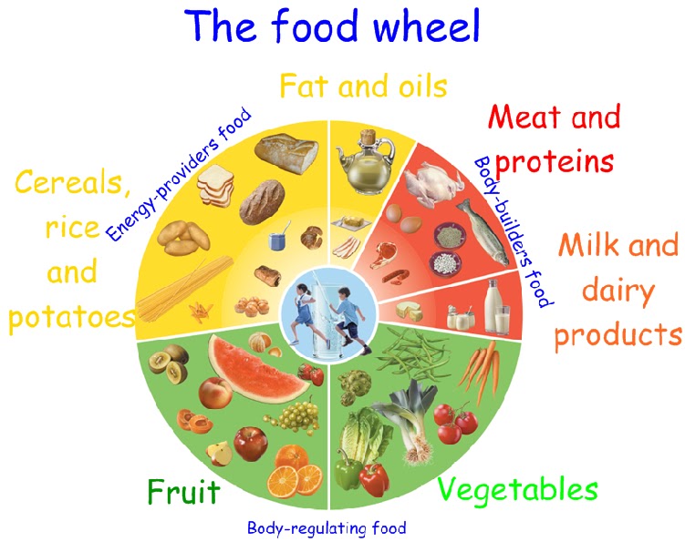 Resultat d'imatges de food wheel