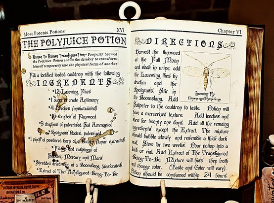Hogwarts Alumni: Polyjuice Potion