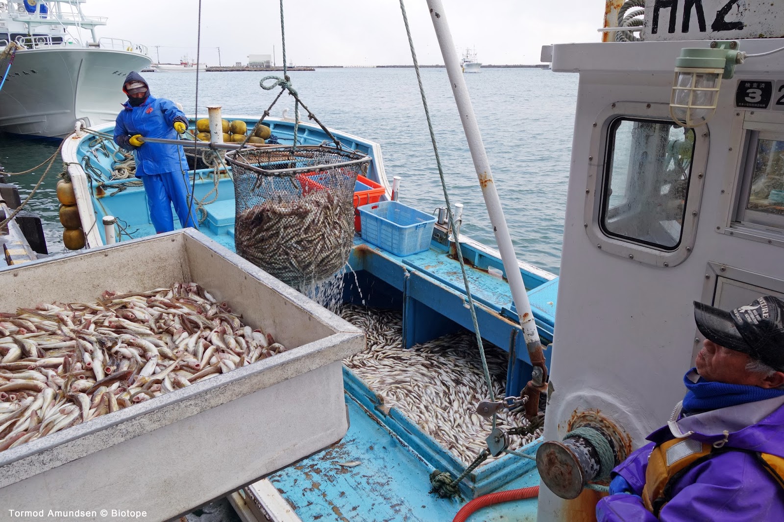 fishing industry Warming seas may scramble north america's fishing industry by david malakoff may 16, 2018 , 5:55 pm get ready, seafood lovers: climate change may. fishing industry Warming seas may scramble north america's fishing industry by david malakoff may 16, 2018 , 5:55 pm get ready, seafood lovers: climate change may.