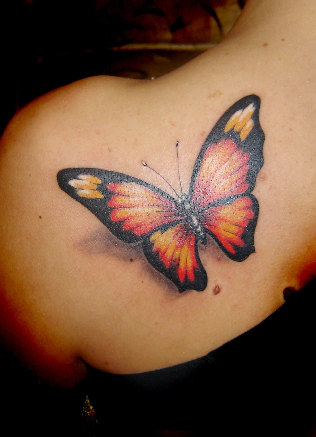 Butterfly 3d Tattoo Butterfly 3d Tattoo