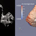 La cometa di Rosetta è ricca di amminoacidi, scura e secca