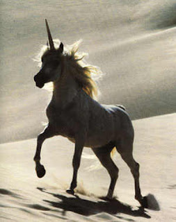the horned horse the horned horse