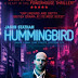 Hummingbird 2013 di Bioskop