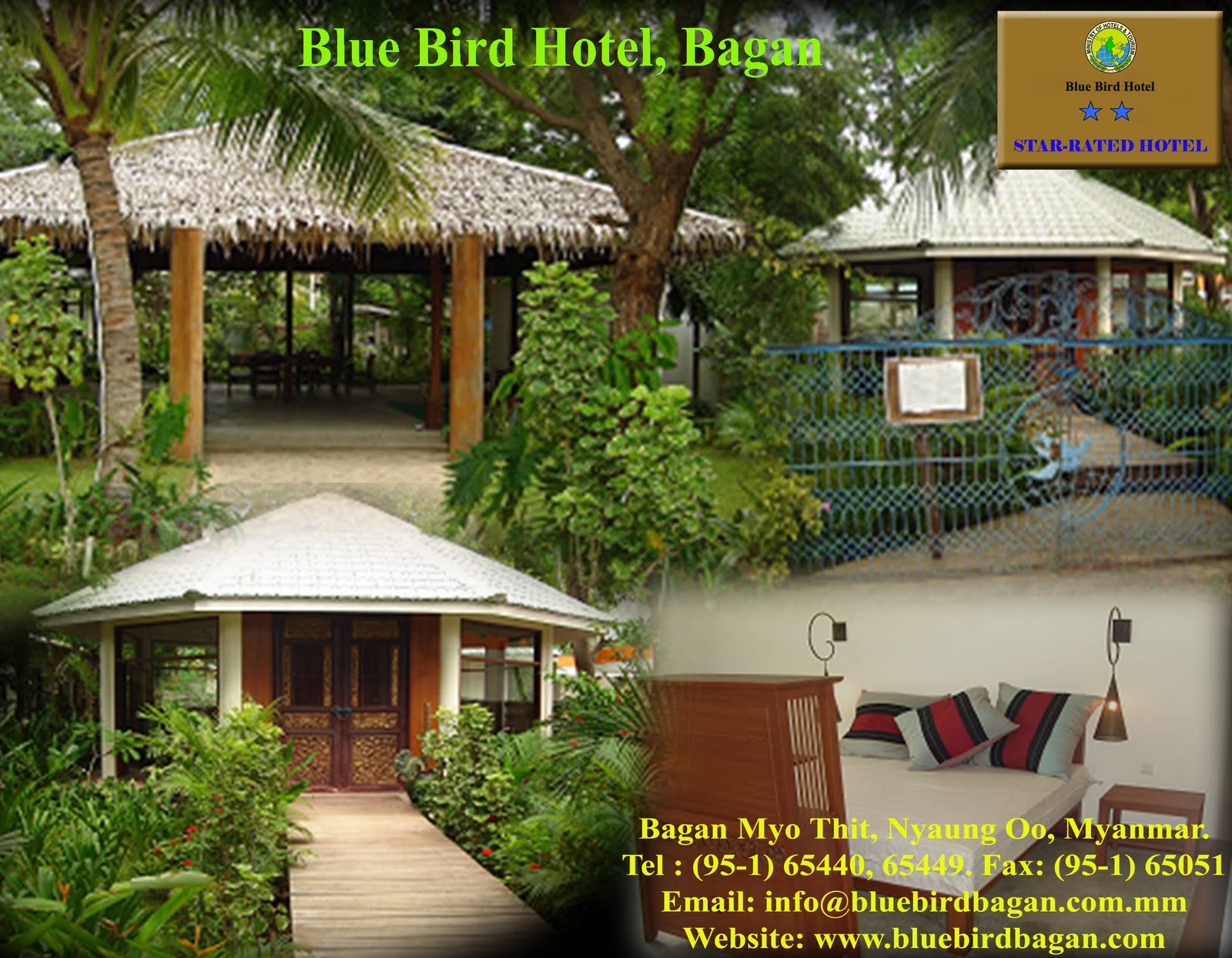 Bird Hotel