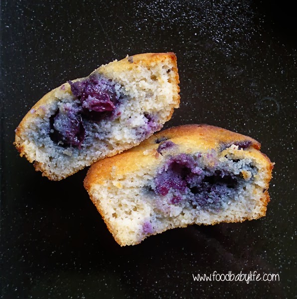 Coconut Flour Blueberry Muffin © www.foodbabylife.com