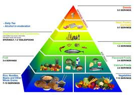 the food pyramid guide