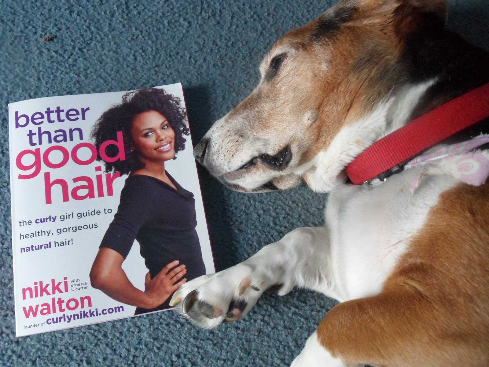 Deelasees Books Better Than Good Hair