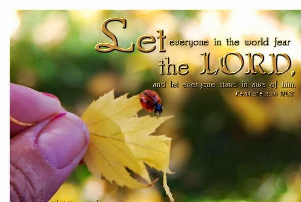 Bible Quotes Bible Quotes for image