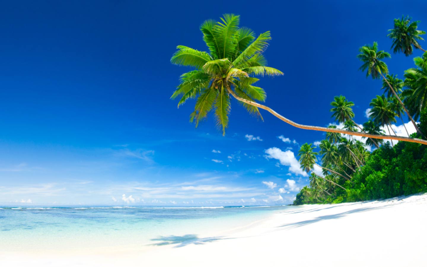 Beach Beach