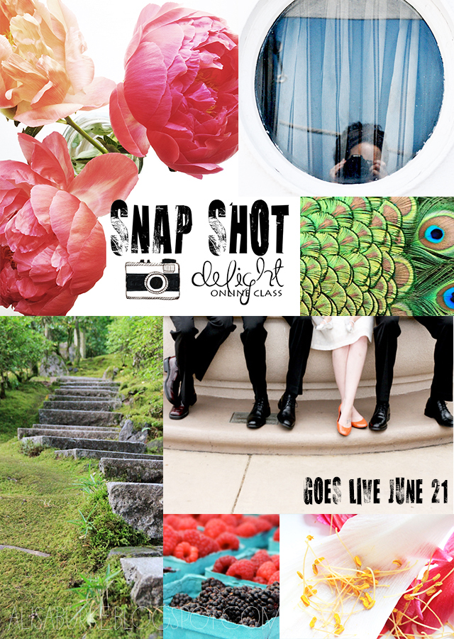 snap shot delight
