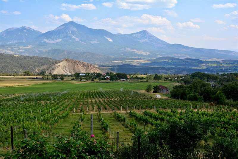Curly Girl Kitchen Paonia