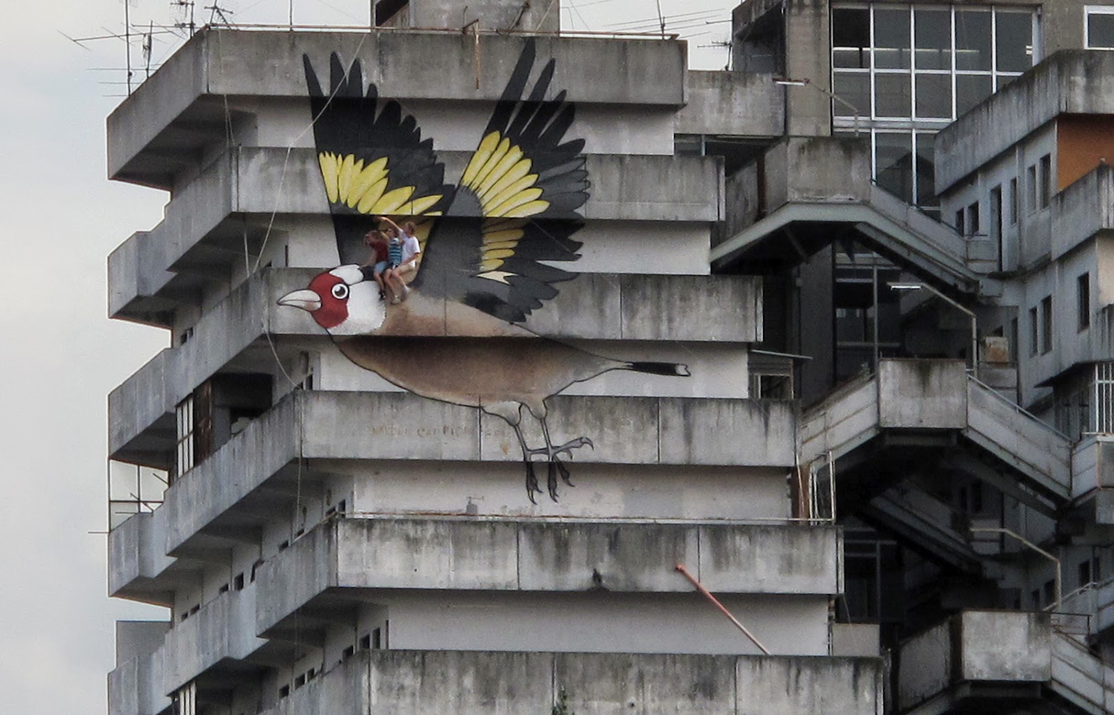 The Cardillo of Scampia by Simon Jung and Paul & Hanno Schweizer The Cardillo of Scampia by Simon Jung and Paul & Hanno Schweizer