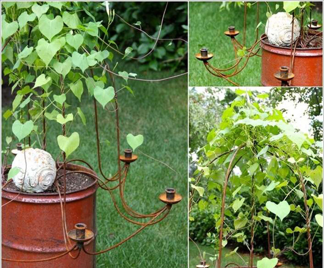 [Image: lam-gian-hoa-leo-cho-khu-vuon-dep-5.jpg]