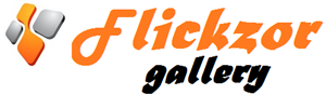 Flickzor Gallery