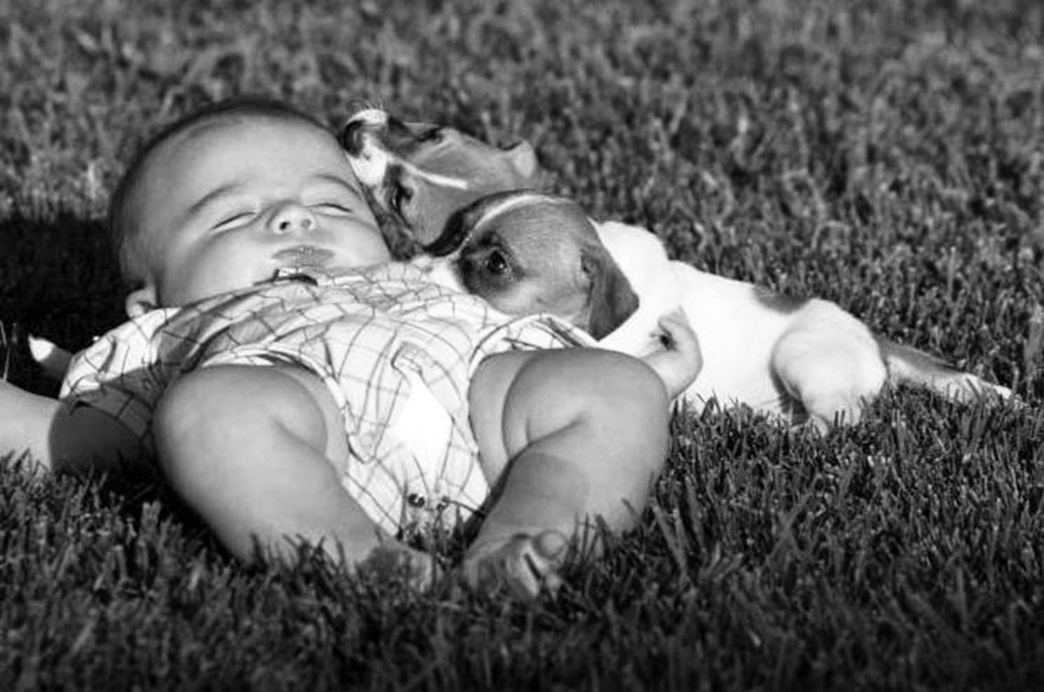 http://www.freeimages.com/browse.phtml?f=view&id=739830