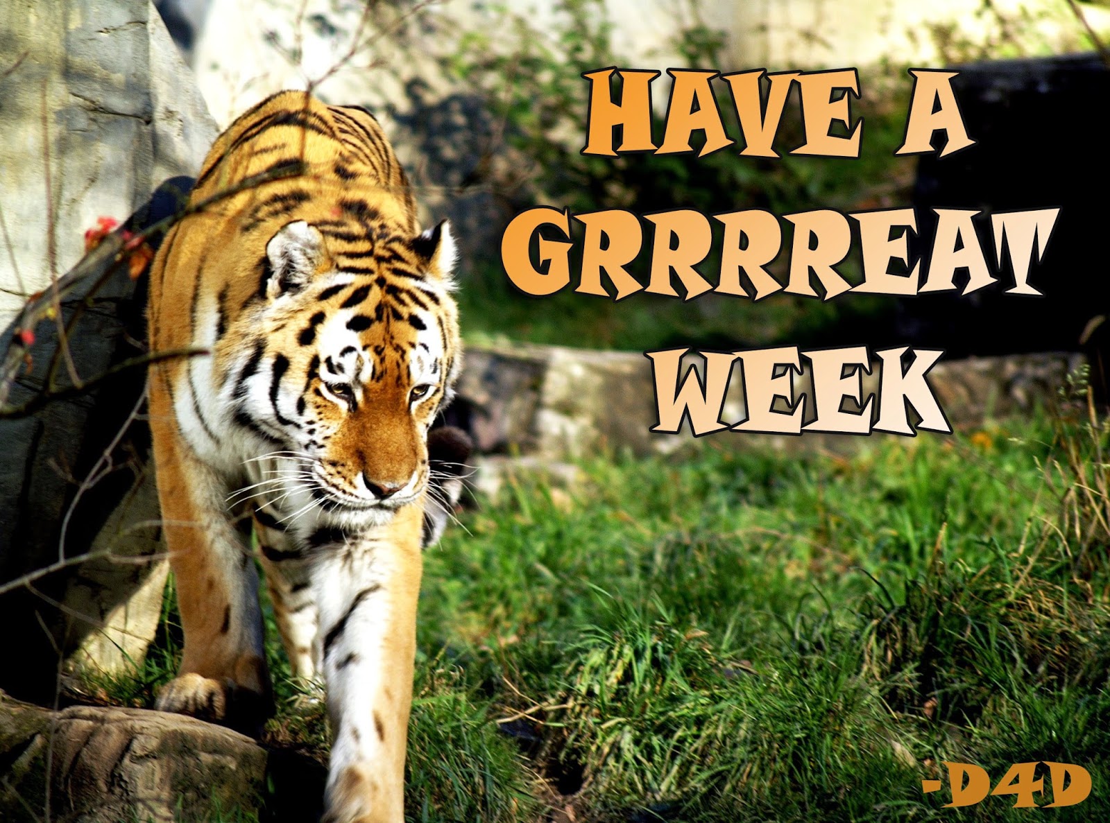 good opening sentences online dating