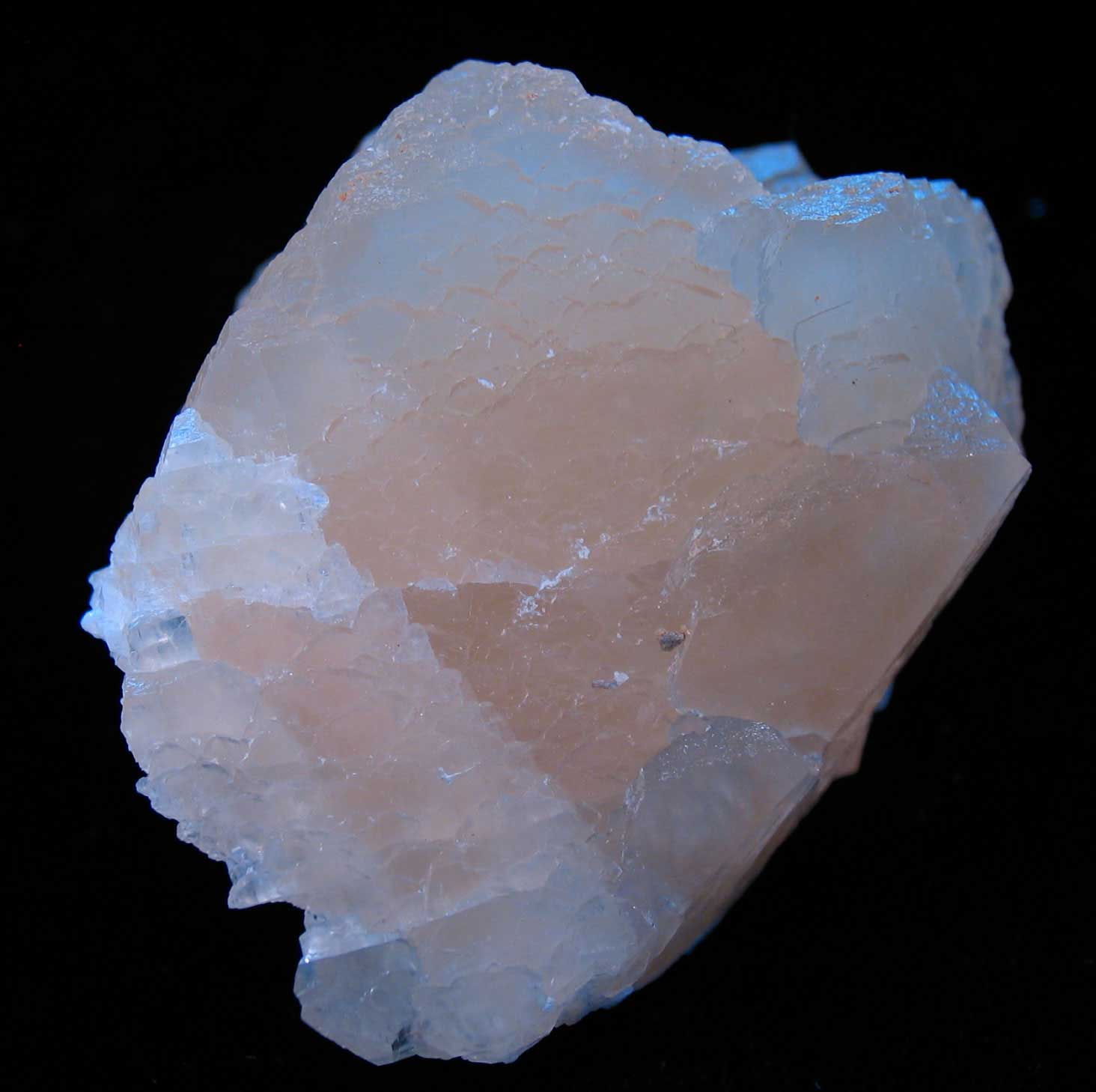 Louisville Fossils and Beyond Southern Indiana Minerals