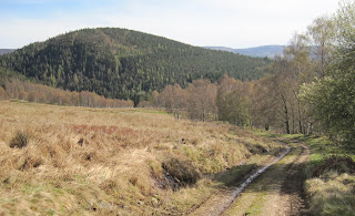 Walking back to Ballater, Deeside