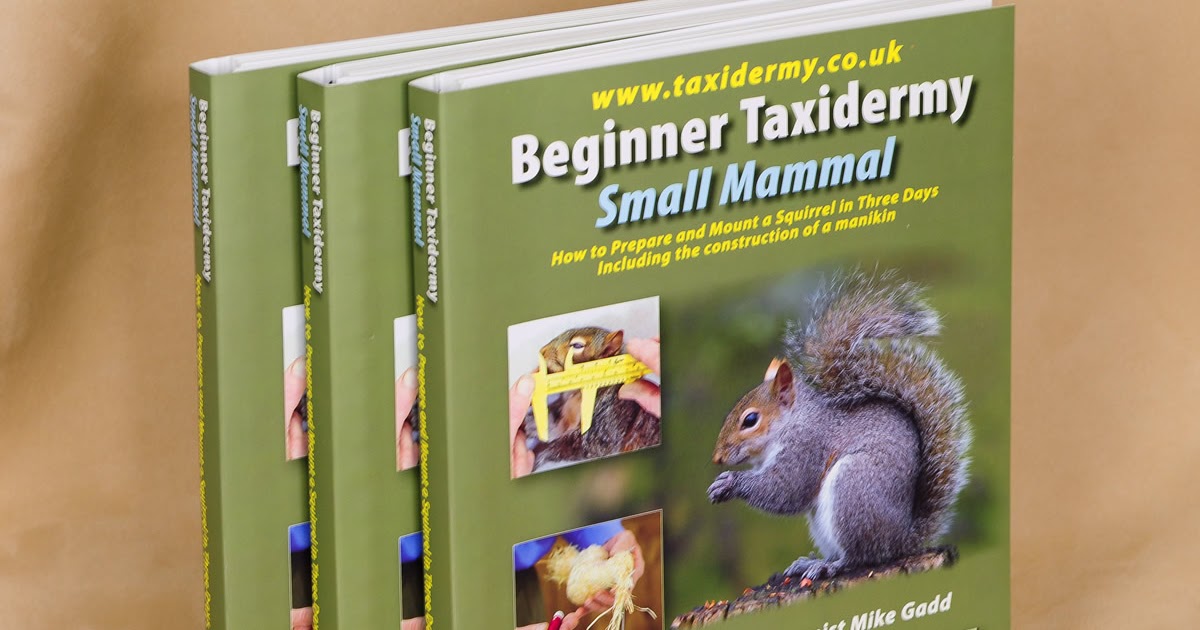 UK Taxidermy New Book Beginner Taxidermy Small Mammal by Mike Gadd