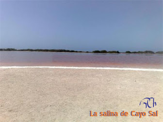 SALINA DE CAYO SAL