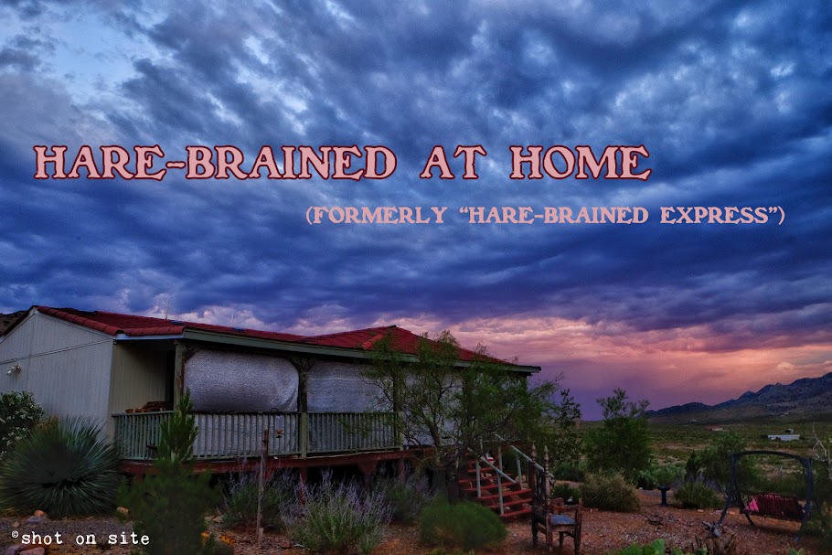 Hare-Brained at Home (formerly Hare-Brained Express Tour)