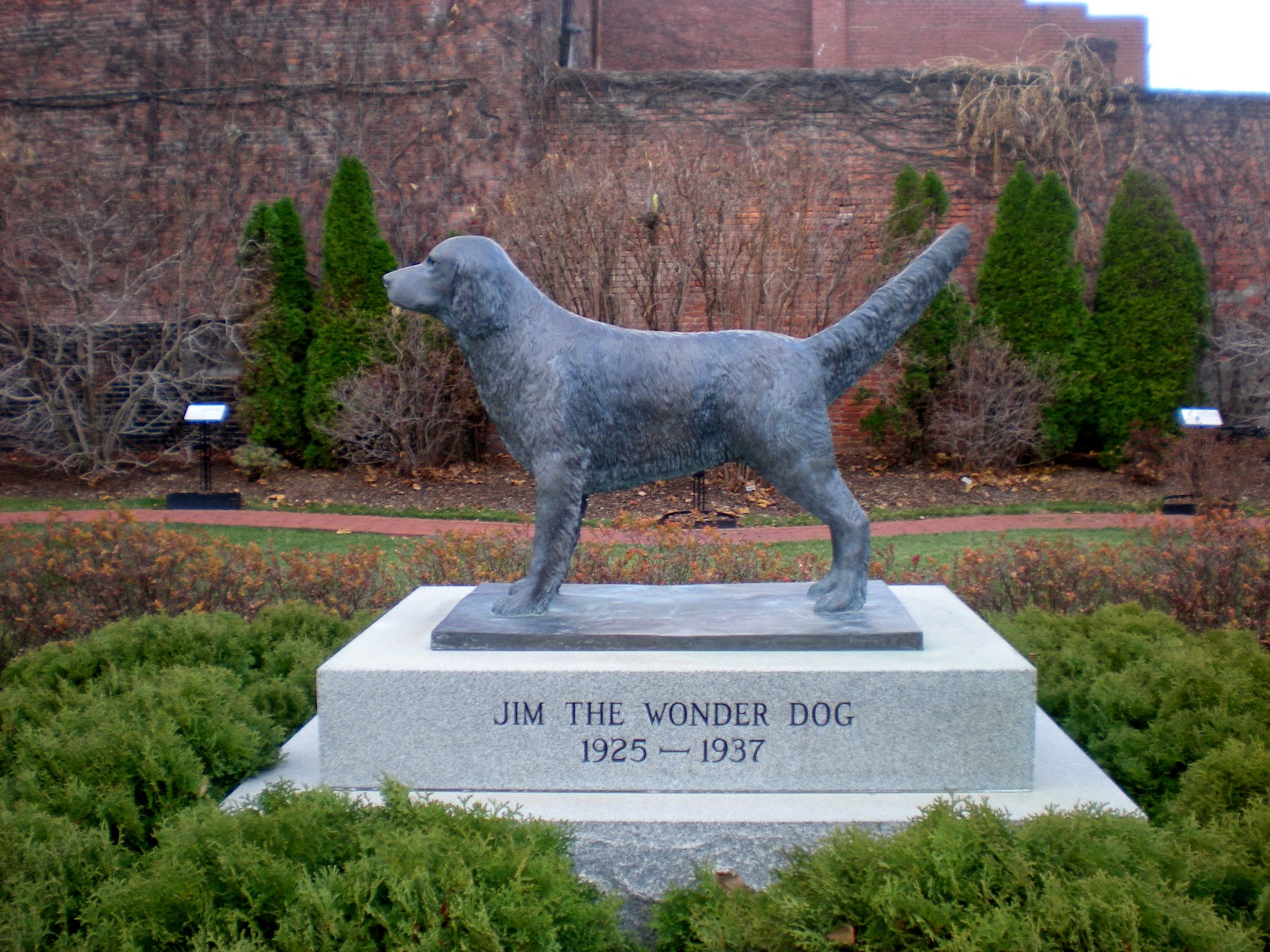 Echoes in the American Wild: From Bunyan's Axe to the Curious Case of mo jimwonderdog