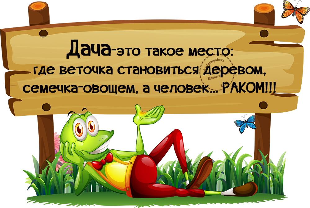 Дачник это статус Дачник это статус