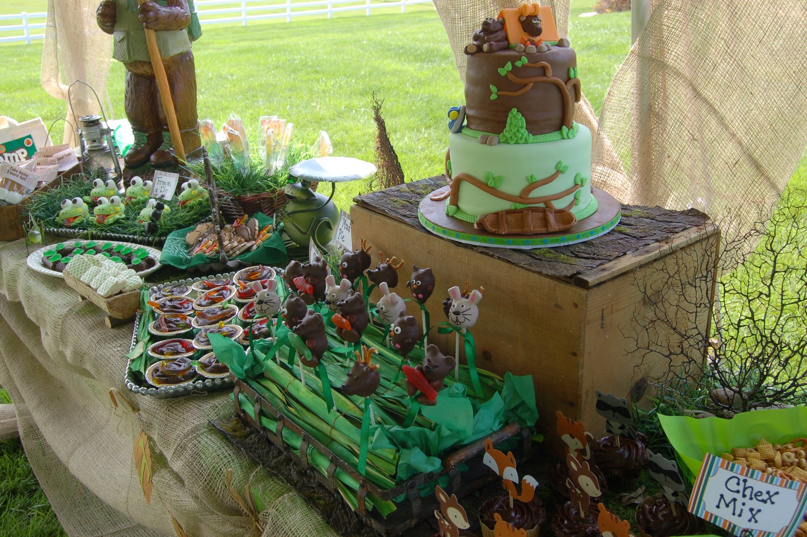 Maddyson's Lane: Campout Birthday Party