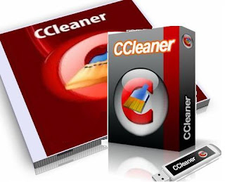 CCleaner Professional 3.19 Download