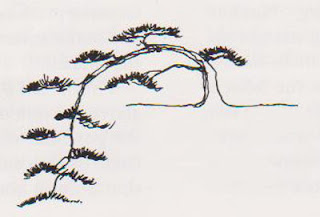 cascade bonsai style