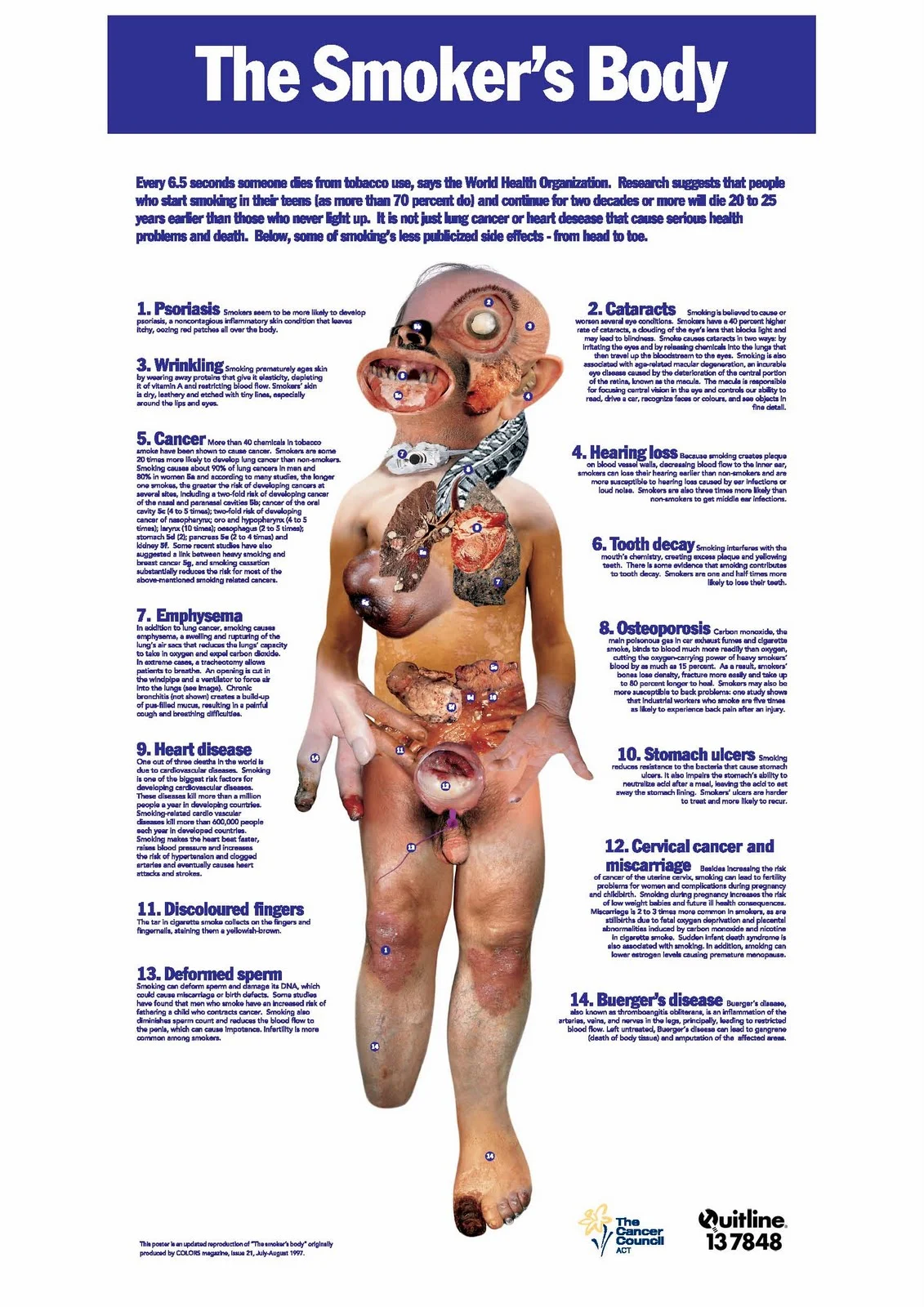 Effects Stop Smoking in a Minute Counts