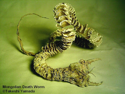 Mongoliam Death Worm by Takeshi Yamada