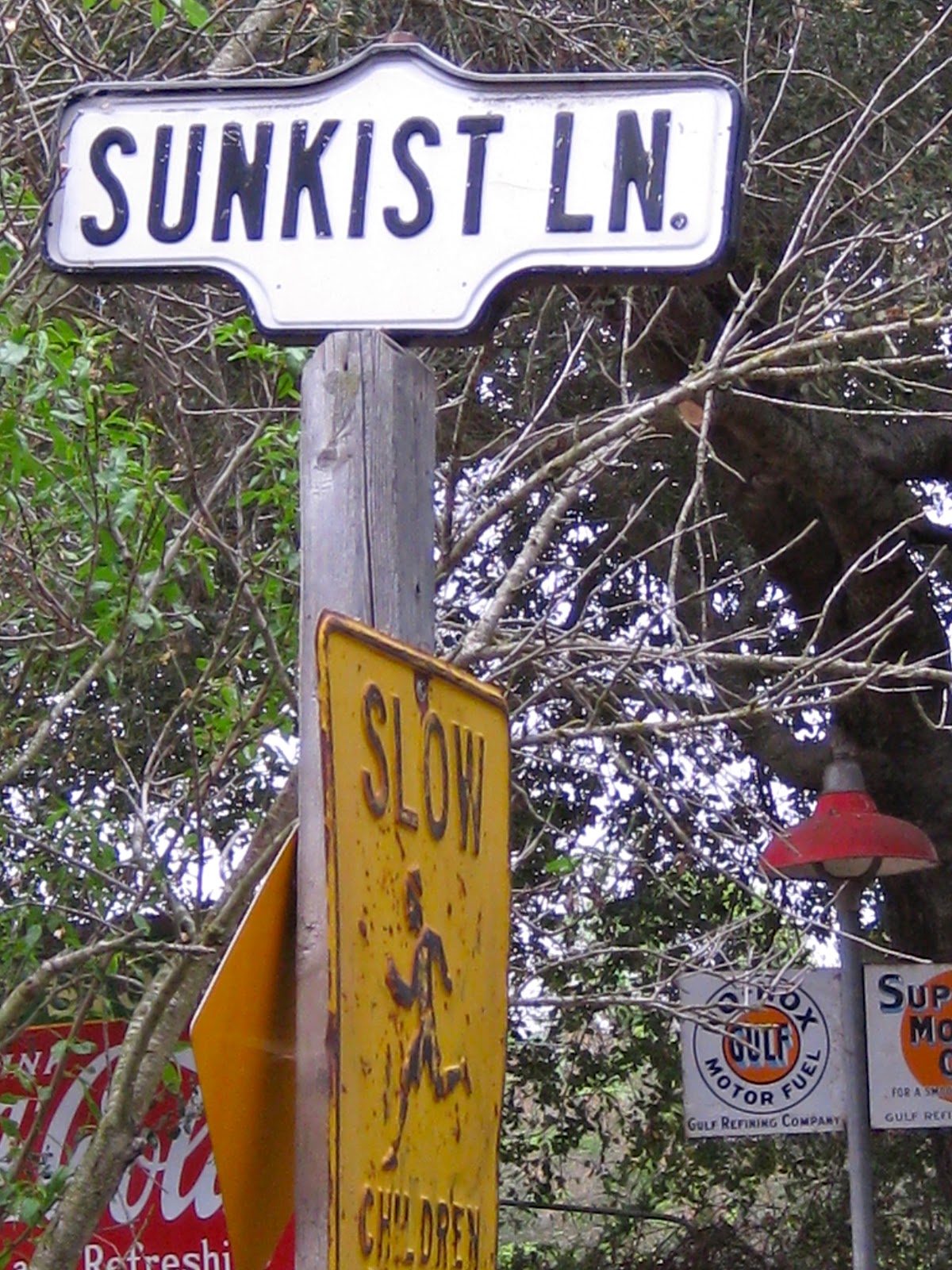 Random thoughts in random world My dad's extraordinary house part 2